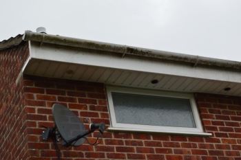 Soffit Fascia Gutter Clean