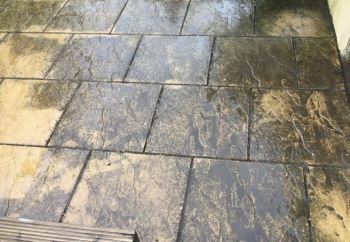 Patio Softwashing - Before Picture